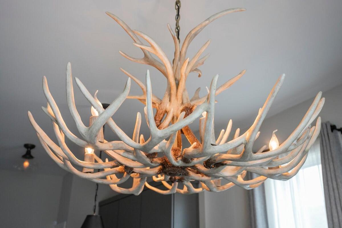 Downtown Luxury At The Southern Belle Holiday home Nashville